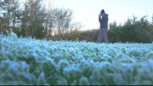 Las heladas no darán tregua en Santiago: Revisa las temperaturas pronosticadas para este martes en la RM