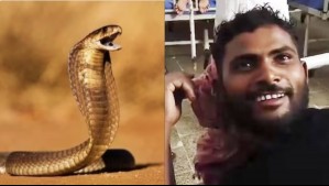 Serpiente venenosa muere después de que hombre la mordiera tres veces: El animal había atacado primero