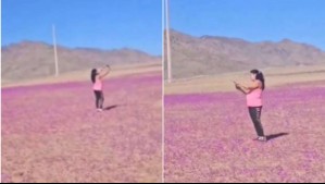 '¿Y a mí qué?': Indignación por video de mujer que caminó sobre floración temprana del Parque Nacional Desierto Florido