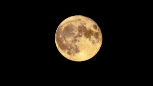 Super Luna de Ciervo se podrá ver en Chile: ¿Cuándo será y de qué se trata?