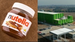 Nutella de Chile para el mundo: La gran apuesta de Ferrero en la producción de avellanas en el país