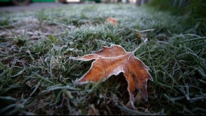 Meteorología emite aviso por 'heladas normales a moderadas' en zonas de tres regiones del país