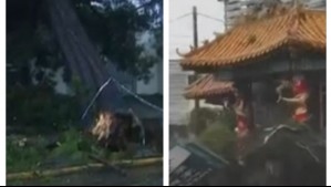 Árbol cayó sobre un banco en Temuco: Los registros que ha dejado el sistema frontal en zona sur