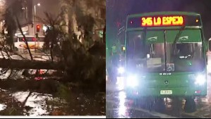 Caos vial en Santiago por fuerte temporal: Alameda fue cortada tras caída de árbol