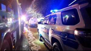 Hombre fallece tras ser aplastado por un árbol en Osorno: Habría estado realizando labores de tala