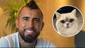 'Es triste no saber dónde está': Arturo Vidal ofrece recompensa para recuperar a su gato 'King'