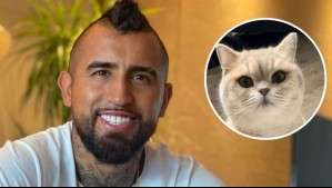 'Volvió el descarado': Arturo Vidal y su pareja recuperan a gato que se había perdido y por el que ofrecieron recompensa