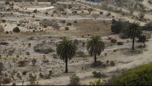 Comerciantes chinos compran enorme terreno para hacer bodegas en Santiago: ¿Dónde está ubicado?