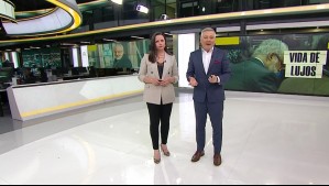 Meganoticias Prime - Jueves 22 de agosto de 2024