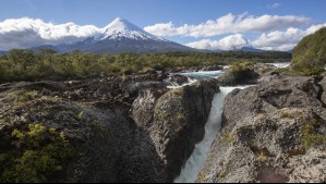 Ticketera acusa 'serio riesgo de subsistencia' por conflicto con Conaf: Entidad terminó contrato anticipadamente