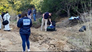 Habría sido atacado por animales: Encuentran cadáver de adulto mayor en Quilpué