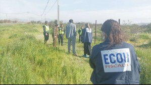 Encuentran cráneo y otras osamentas humanas en avanzado estado de descomposición en sector rural de Colina