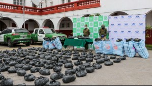 Carabineros incauta más de 320 kilos de marihuana en control carretero en Choapa