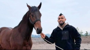 Caballos del haras de Arturo Vidal salen a remate: Varios son crías de campeones