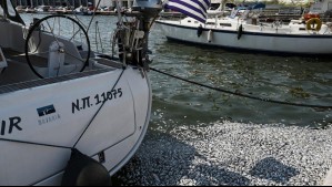 'Estado de emergencia': Imágenes muestran impresionante 'marea de peces muertos' en ciudad portuaria de Grecia