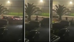 Video muestra violento portonazo en Maipú: Dos niños alcanzaron a salir del auto antes que los ladrones se lo llevaran