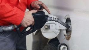 Bencina y parafina bajarán este jueves: ¿Cuánto disminuirá el precio de los combustibles?