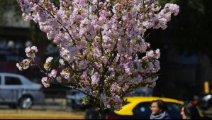 Ya se acaba el invierno: Esta es la fecha exacta del inicio de la primavera