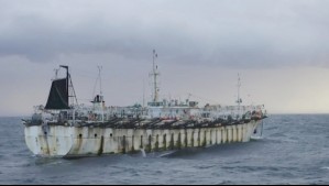 Barcos chinos amenazan las costas chilenas: La acción que pone en peligro la fauna y los recursos marítimos nacionales