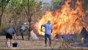 Ola de incendios en Brasil alcanza al parque nacional de la capital: Ya van 1.200 hectáreas consumidas por el fuego