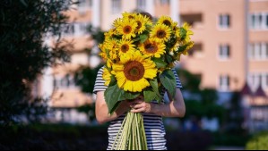 Primavera 2024: ¿Cuándo hay que regalar flores amarillas?