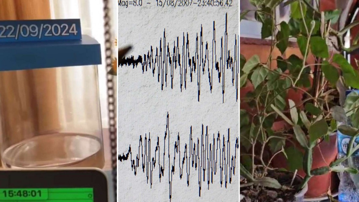 Temblor de mediana intensidad en la zona central del país: Mira los registros que circulan en redes sociales