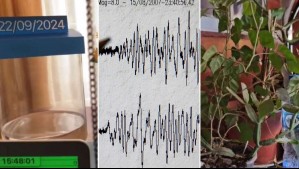 Temblor de mediana intensidad en la zona central del país: Mira los registros que circulan en redes sociales