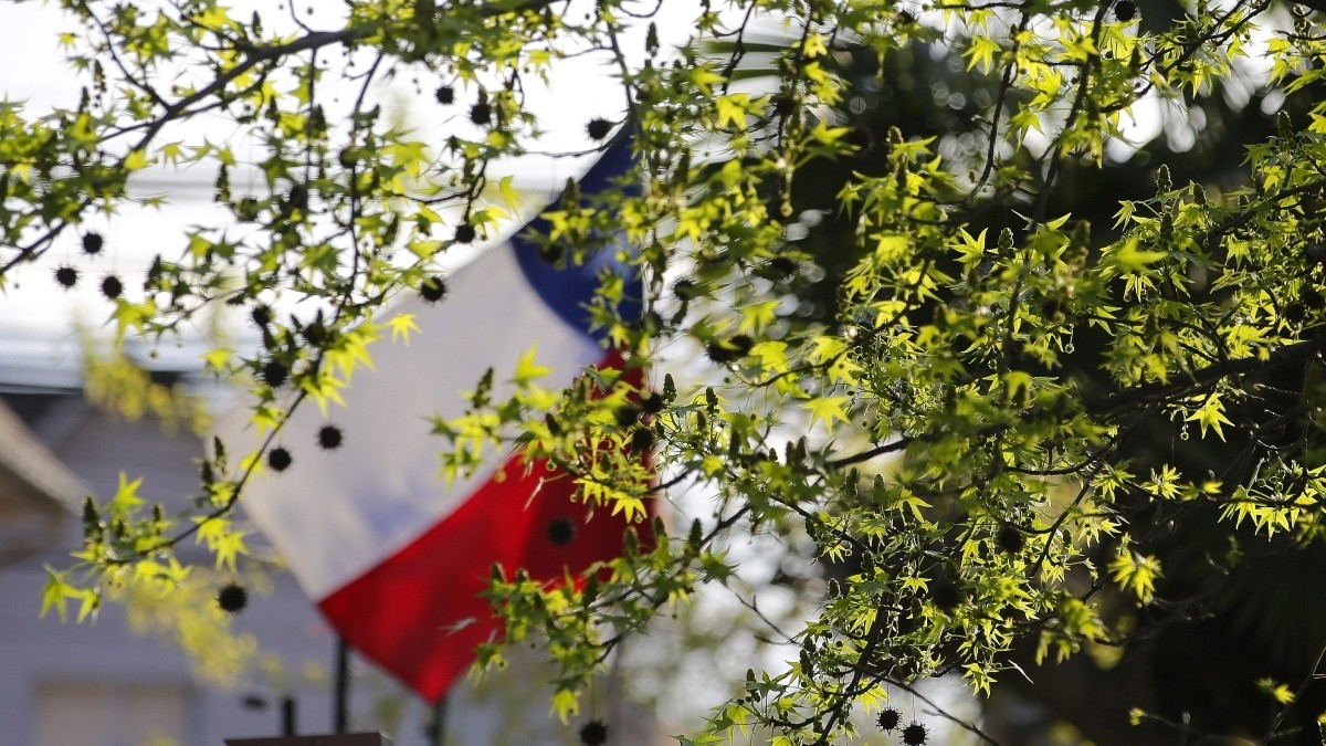 Comienza la primavera en Chile: Esta es la hora en que inicia el equinoccio