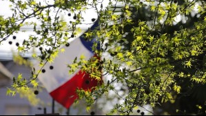 Comienza la primavera en Chile: Esta es la hora en que inicia el equinoccio