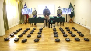 Trasladaban 63 kilos de 'creepy' en cajas de plátanos: Detienen a dos hombres por tráfico de drogas en La Araucanía