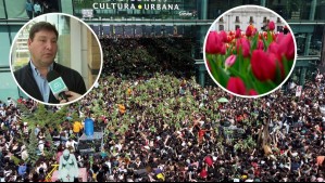 'No tenemos por qué andar dando agua': Organización del Día del Tulipán apunta a falta de educación cívica tras críticas