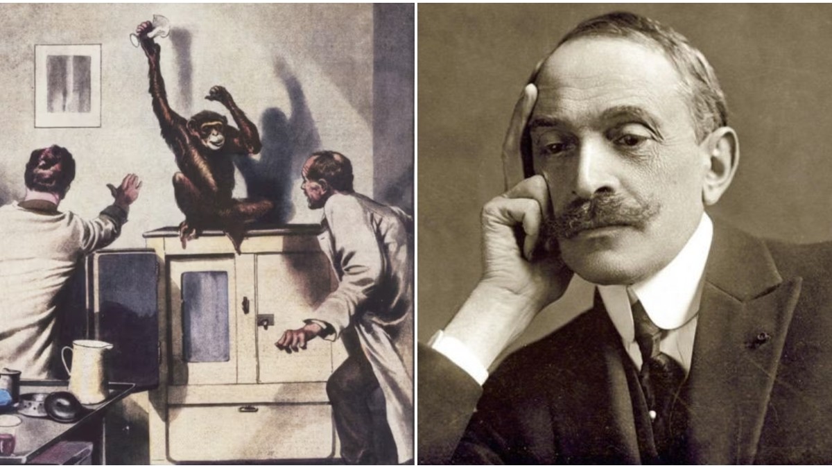 serge voronoff monos doctor frankenstein chile