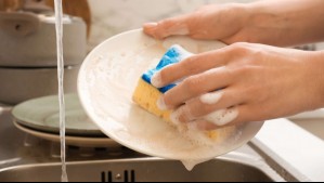 Estas son las razones por la que la esponja de tu cocina podrían poner en peligro tu hogar