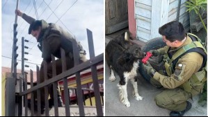 Video muestra heroico rescate a perro que estaba atrapado en el portón de una casa: Se habría intentado escapar