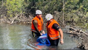 Identifican cuerpo encontrado en río Ñuble: Corresponde a pescador desaparecido en septiembre