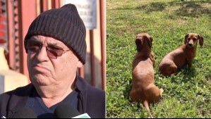 'Lo que más siento son los perritos': Víctima de violento 'turbazo' en Ñuñoa por pérdida de sus mascotas