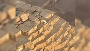 Perro bajó solo de la cima de una de las enormes pirámides de Egipto