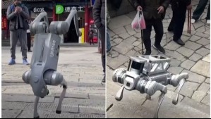 Sube escaleras, se lleva la basura y hace piruetas: Perro robot sorprende en montaña de China