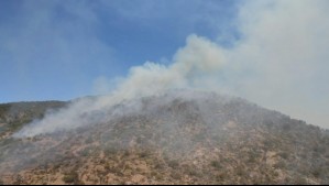 Declaran Alerta Amarilla para Paine por incendio forestal de alta intensidad y rápida velocidad