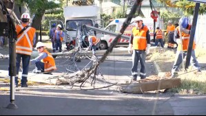 Camión de supermercado derriba 5 postes de luz en La Florida: Vecino reclama 'responsabilidad de la municipalidad'