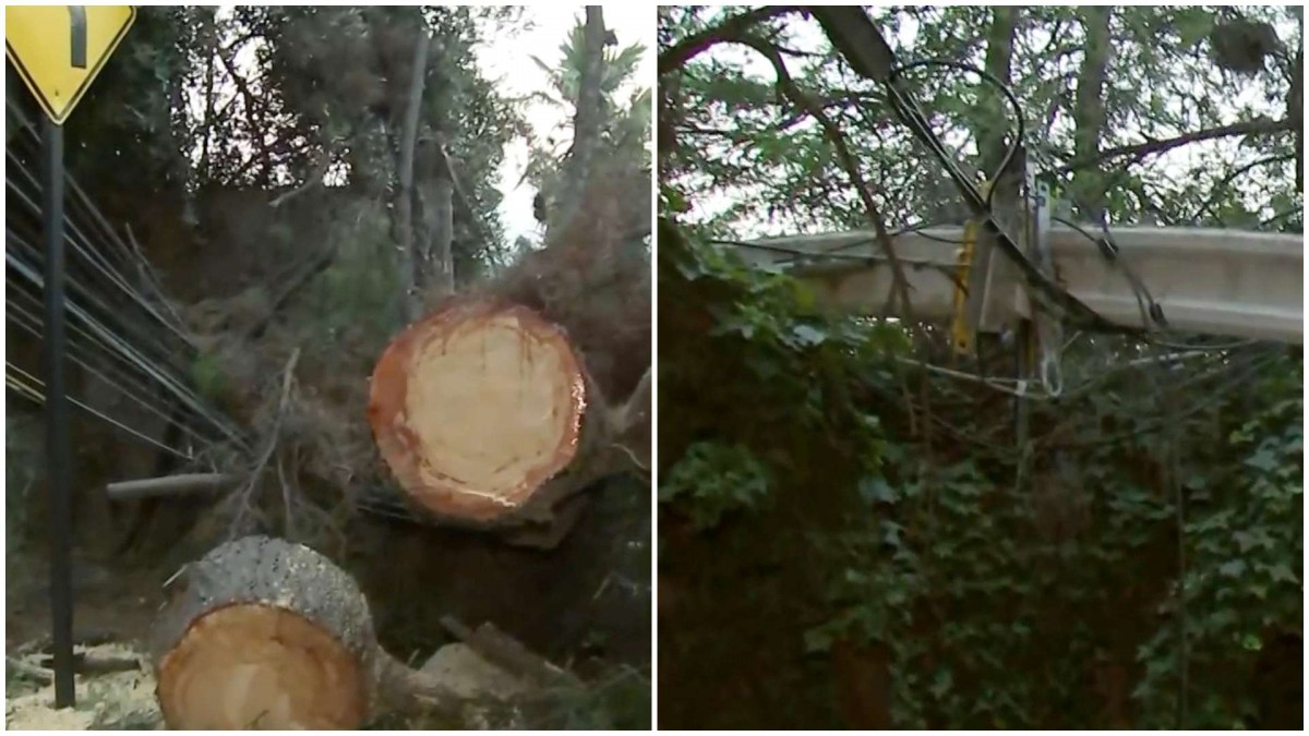 Caída de postes genera interrupción en el tránsito en un sector de la comuna de La Reina