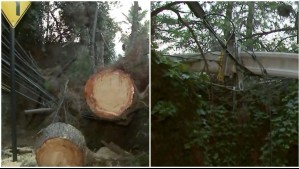 Caída de postes genera interrupción en el tránsito en un sector de la comuna de La Reina