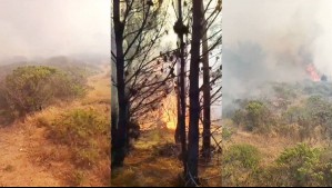 Declaran Alerta Roja por incendio forestal en Laguna Verde: Reportan una vivienda afectada y evacúan sectores cercanos