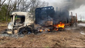 Nuevo ataque incendiario en La Araucanía: Quemaron vehículos en predio forestal de Nueva Imperial