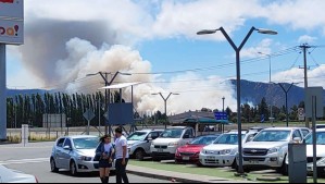 Declaran Alerta Roja en Mostazal por incendio forestal: Van cuatro hectáreas consumidas