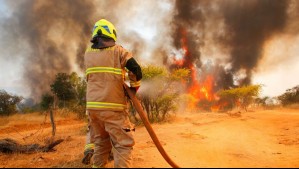 Senapred declara Alerta Roja por incendio forestal en dos comunas: Estos son los sectores afectados por las llamas