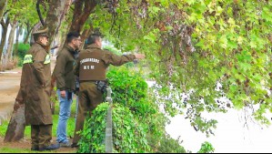 Investigan hallazgo de cuerpo en Futrono: Correspondería a hombre desaparecido a fines de septiembre