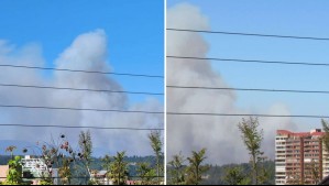 Declaran Alerta Roja para Viña del Mar por incendio forestal: Fuego está cerca de sectores poblados