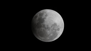 Luna del Castor: ¿Cuándo se podrá ver la última Superluna del año en Chile?