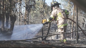 Balance de incendios forestales en Valparaíso: Tres personas fueron detenidas y no se han reportado viviendas afectadas